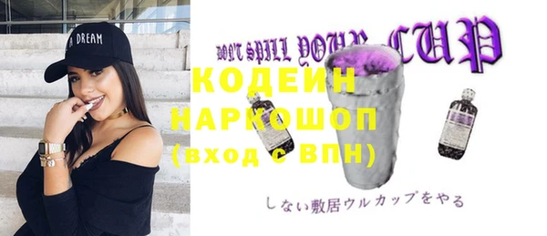 герыч Мегион