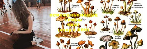 гидропоника Михайловка
