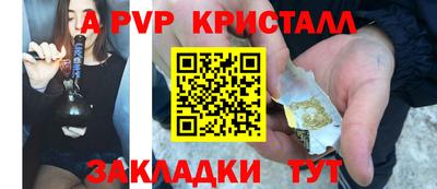 прущие грибы Канаш