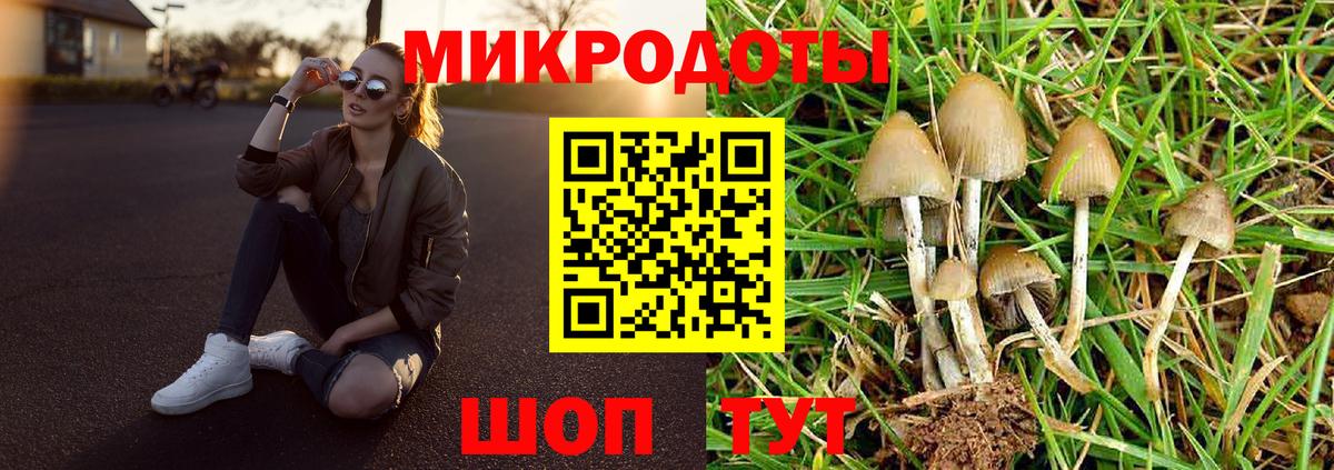 Галлюциногенные грибы прущие грибы  Галлюциногенные грибы Cubensis  Отрадное  Вход с VPN 